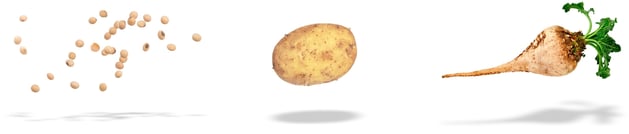 pic-key-commodities-beans-potato-cturnip-1624x348