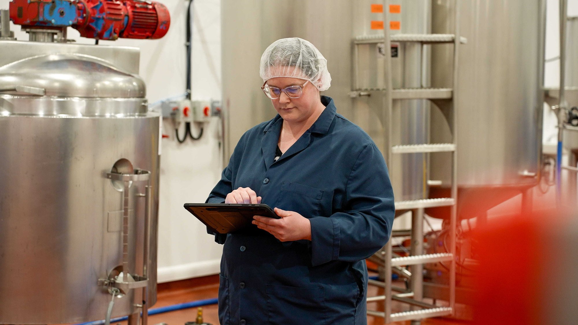 TreeIsland - Pictures-19 (1)