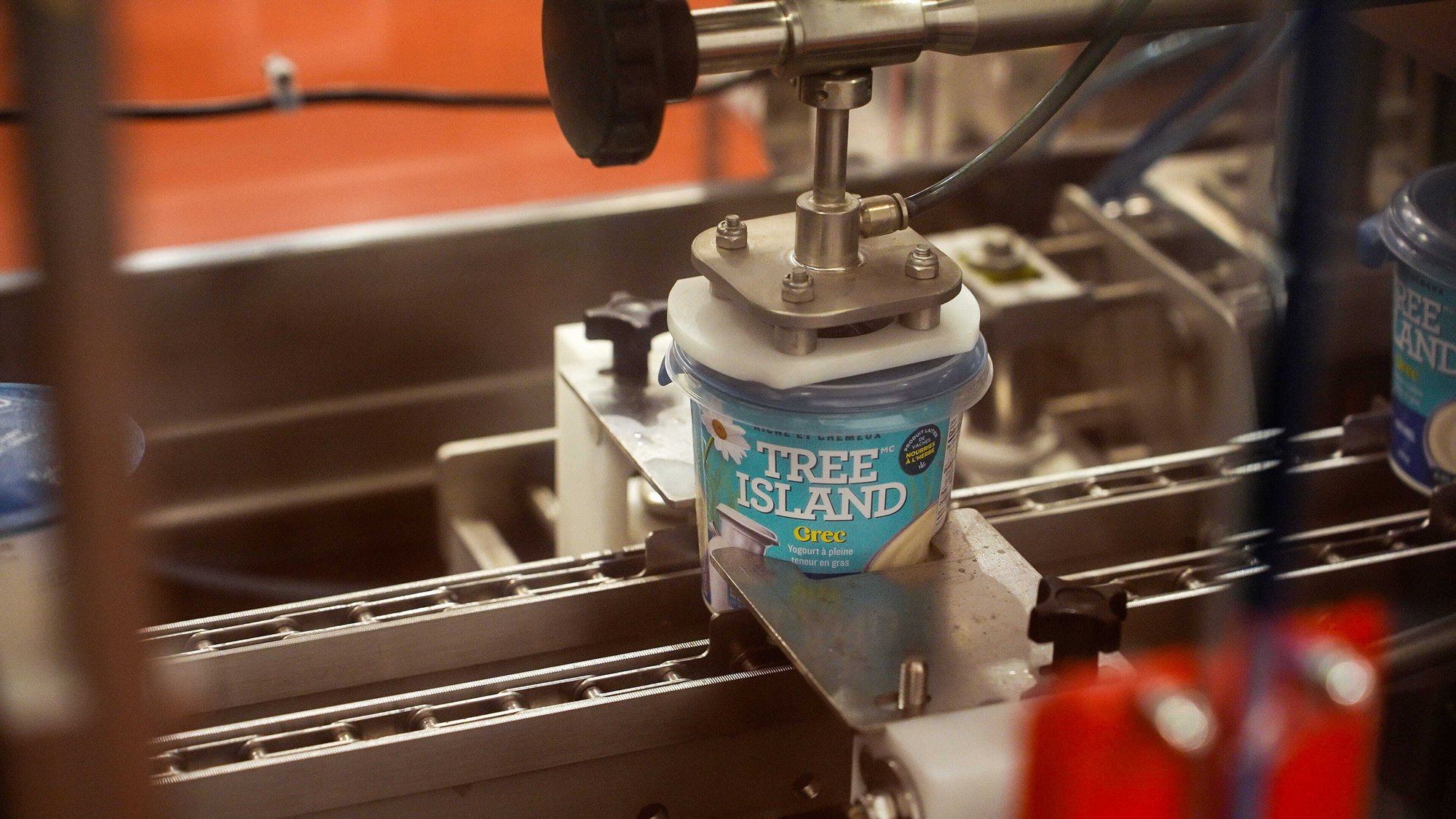 TreeIsland - Pictures-21 (1)