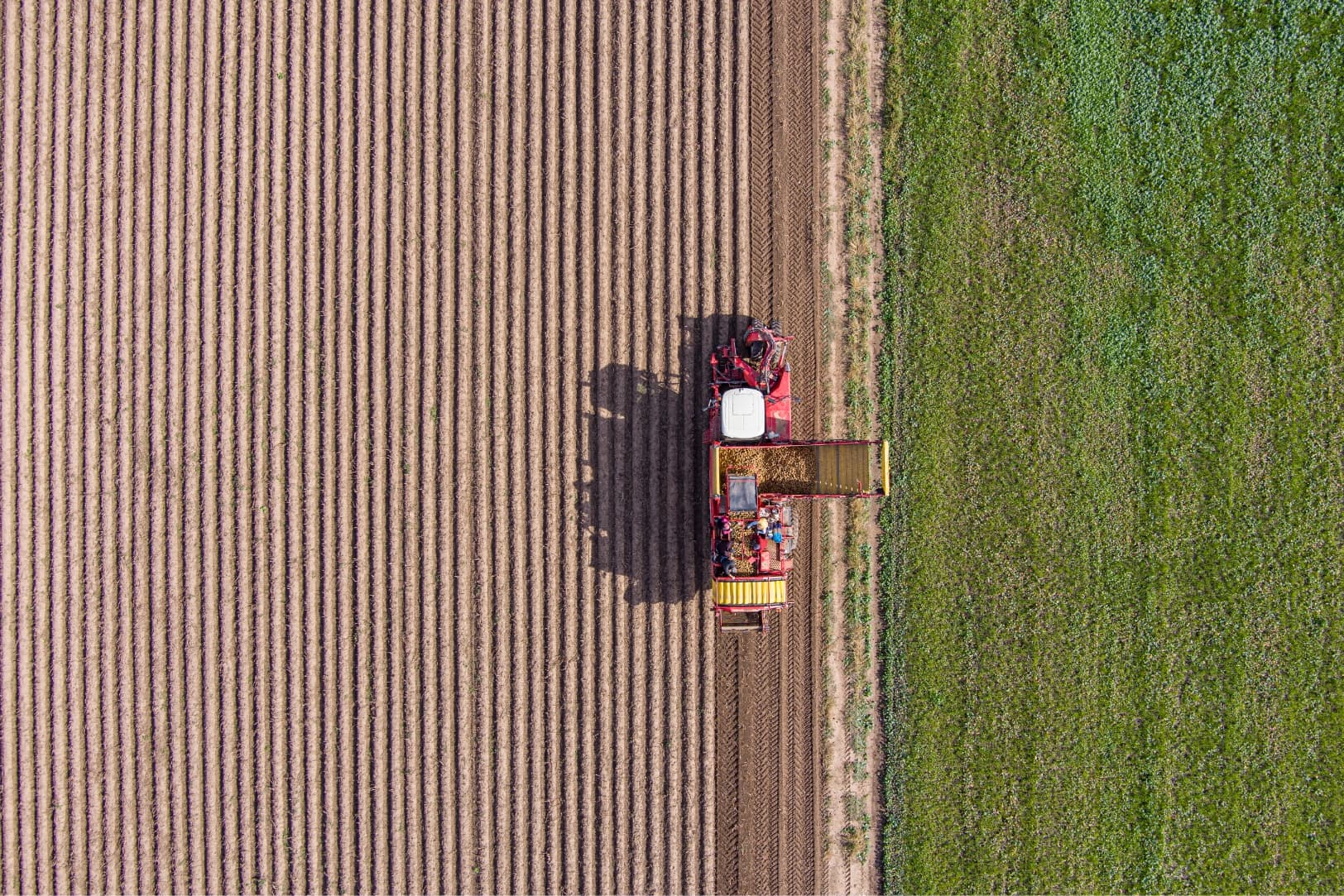 pic-agricultural-truck-harvesting-potatoes-1624x1083-1