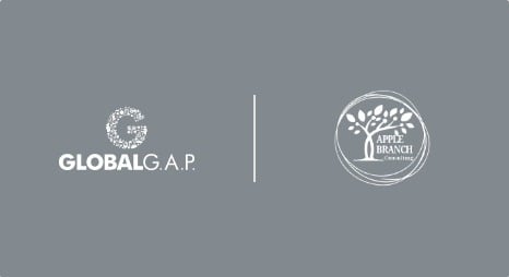 white-globalgap-n-apple-branch-consulting-logos-on-grey-background