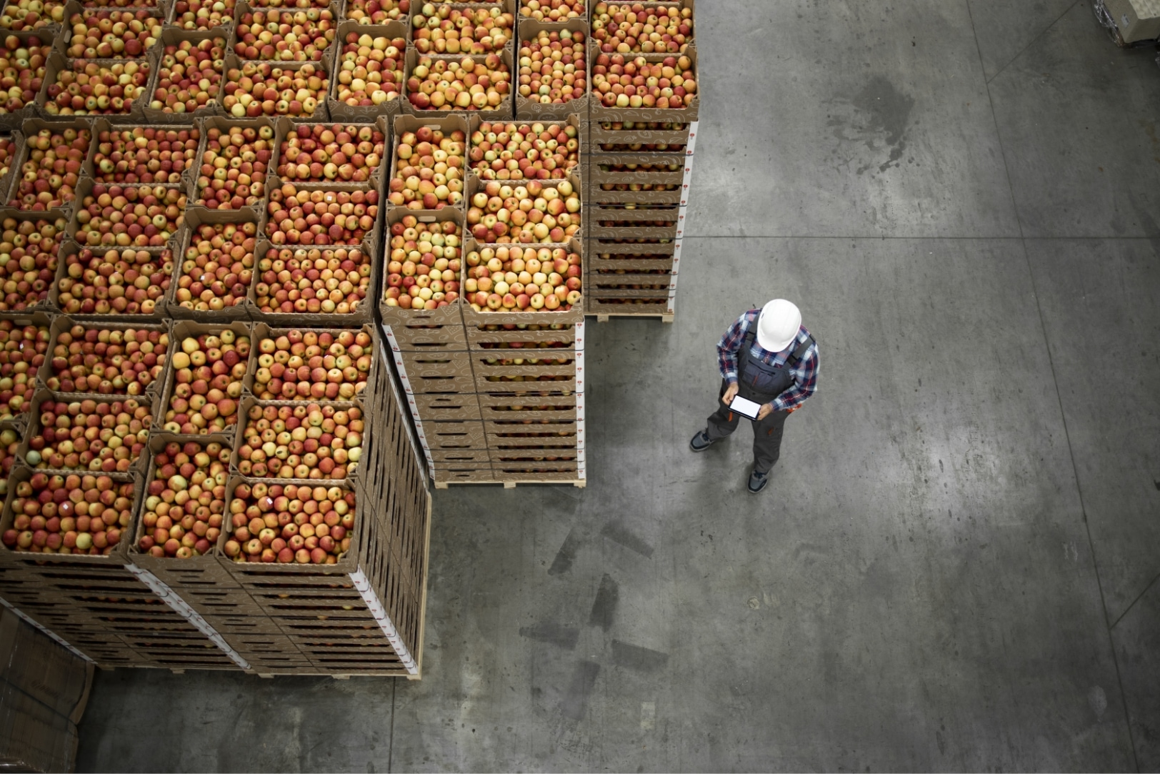 Worker checking phone beside packs of apples