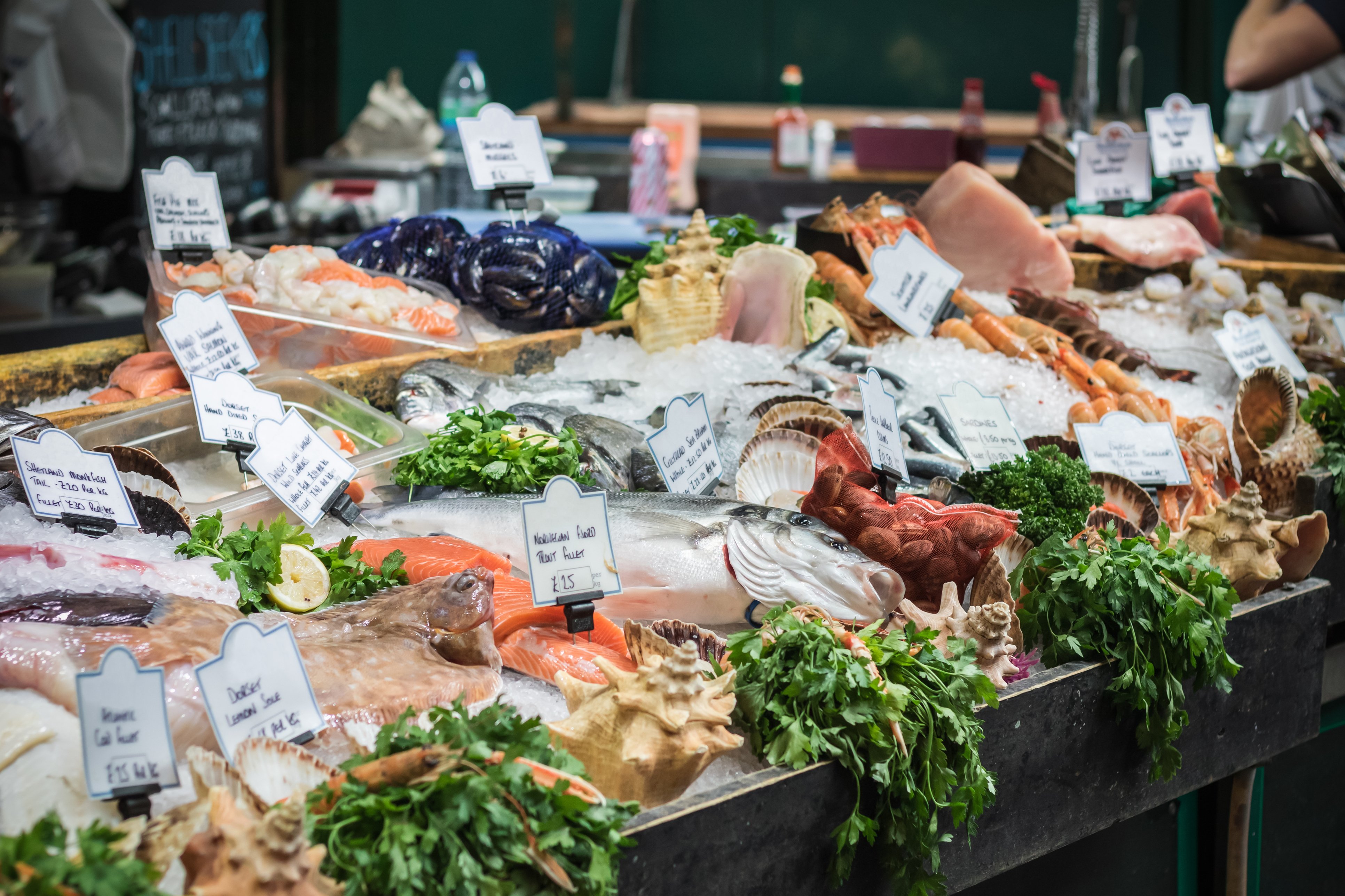 Closing the Seafood Traceability Gap