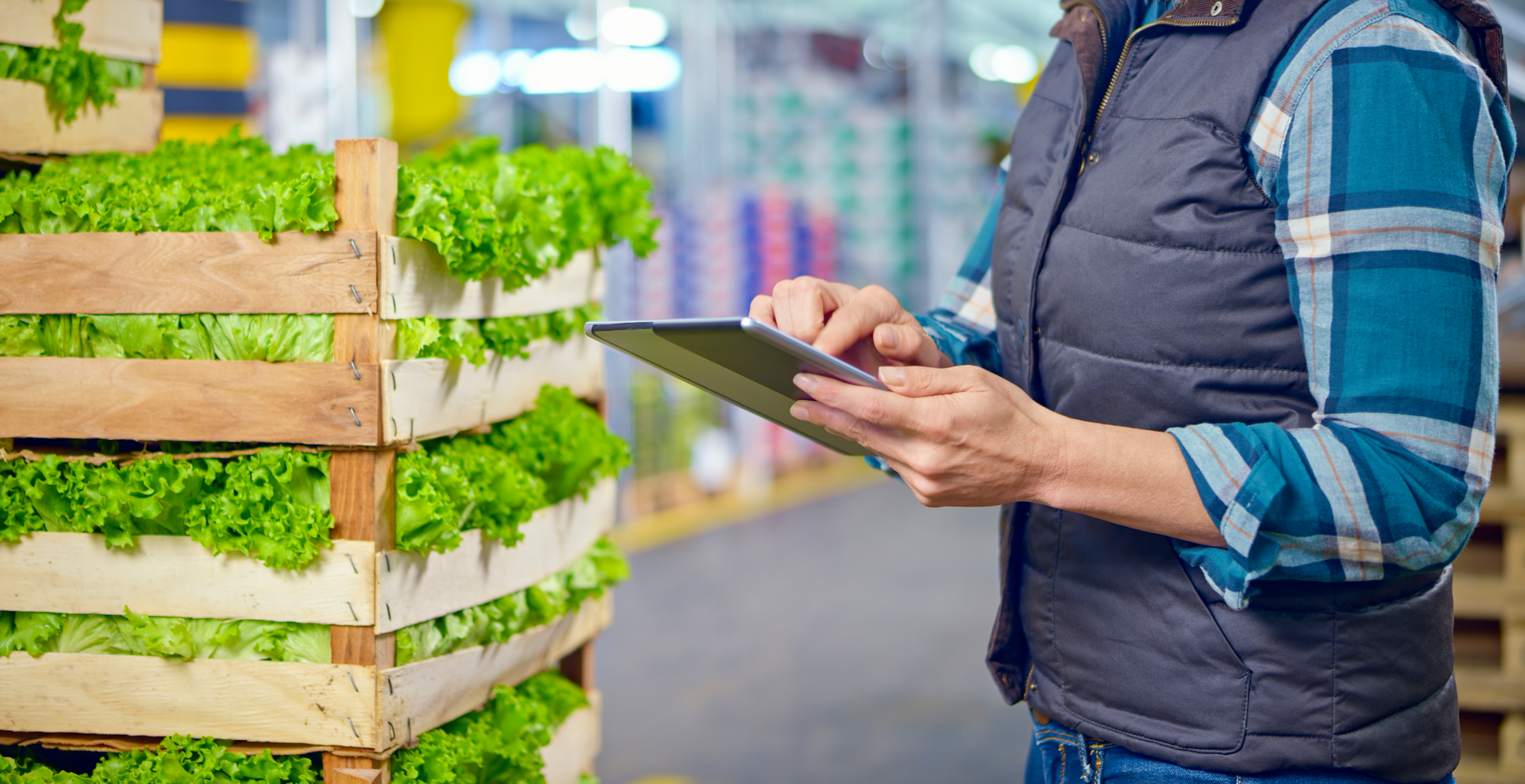 Mock Recalls, Real Gains: How Stress-Testing Traceability Can Ensure FSMA 204 Readiness